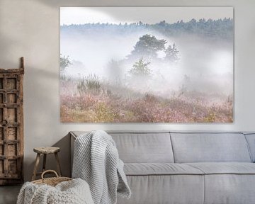 Heide landschap met mist van Elroy Spelbos Fotografie