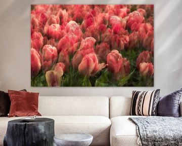 Dromerige tulpen van Dennisart Fotografie