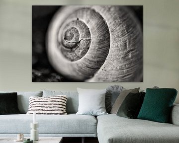 The Schier snail I sur Klaartje Huijben