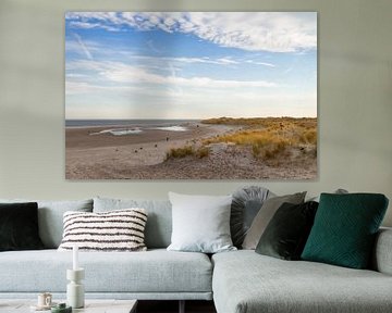 Beach and dunes of Texel
