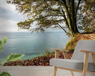 Tree on shore of the Baltic Sea by Rico Ködder