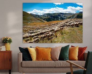 troupeau de moutons dans les Alpes