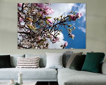 magnolia boom van Nienke Stegeman