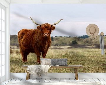 Schotse Hooglander in de Kennemerduinen van Remco Bosshard