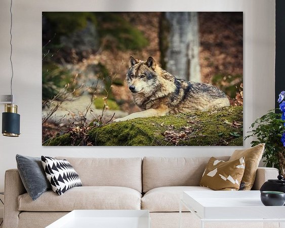 Aperçu de la chambre