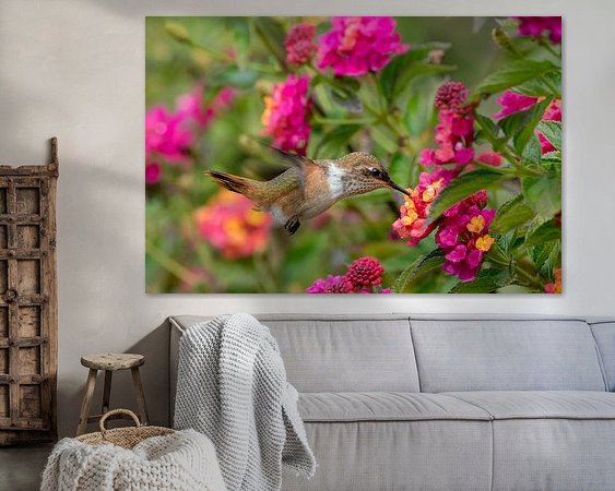 Aperçu de la chambre