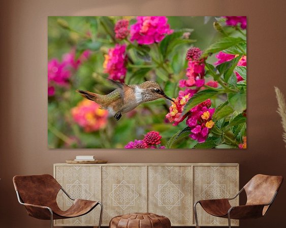 Aperçu de la chambre