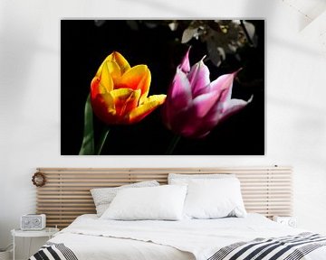 Twee Tulpen in het licht van Gerard de Zwaan