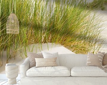 Summer at the beach of the island Terschelling  by Sjoerd van der Wal Photography
