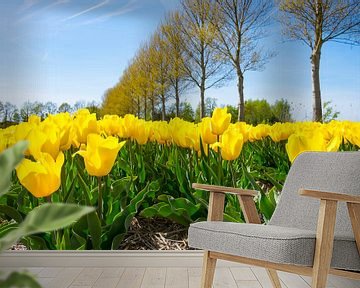 Gele tulpen op in de polder in flevoland  van Sjoerd van der Wal Fotografie
