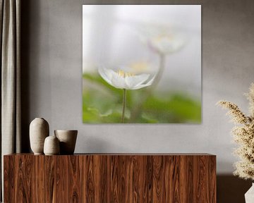 Fragile flowers in Spring (square sized) von Jacqueline de Groot