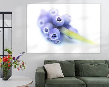 Blue grape by Jefra Creations