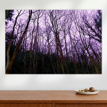 Bomen zonder bladeren