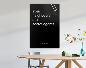 Your neighbours are secret agents von AJ Publications