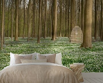 Hallerbos auf einem Blumenteppich von Toon van den Einde