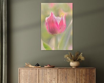 Tulp in ochtenddauw van Jacqueline de Groot