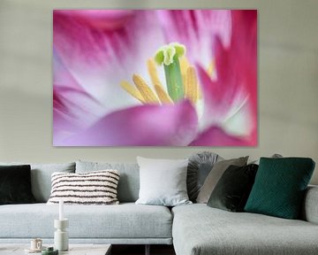 Tulpen by Teuni's Dreams of Reality