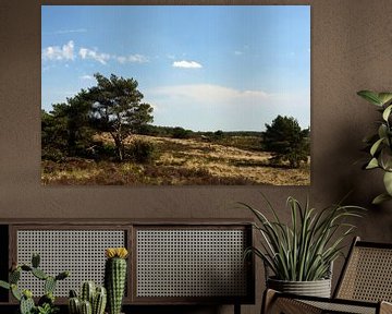 A Veluwe landscape by Gerard de Zwaan