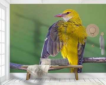 Vrouwtje Wielewaal (Oriolus oriolus) op een tak van Beschermingswerk voor aan uw muur