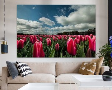 Rode tulpen met Hollandse luchten van Gert Hilbink