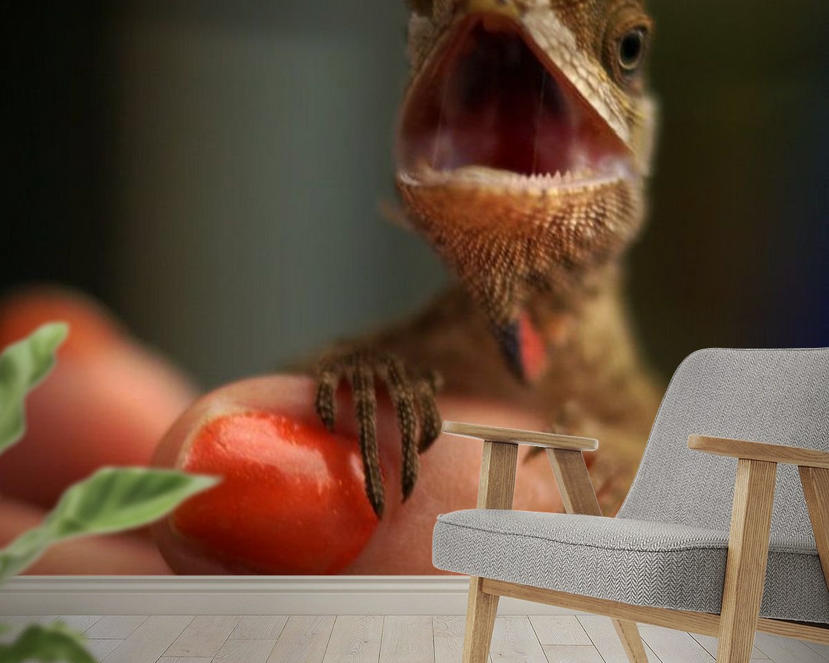 Raumvorschau
