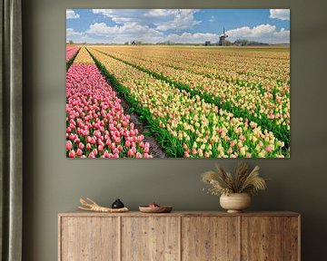 molen tussen de bloeiende tulpen in de lente van eric van der eijk