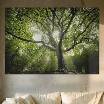 The spring witch sur Rob Visser