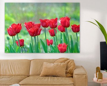 Bright red tulips sur Ronald Smits