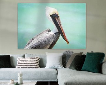 Posing Pelikan von Michel Geluk