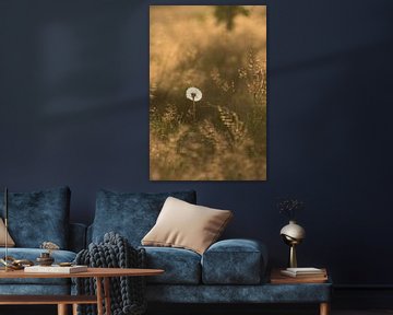 Golden Dandelion by Barend de Ronde