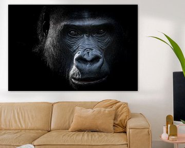 Intiem Gorilla portret in zwart/wit