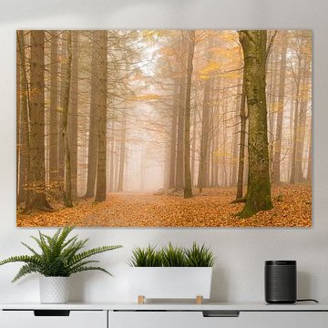 Mistig herfsbos sur Elles Rijsdijk