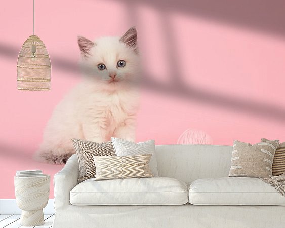 Raumvorschau