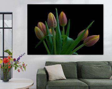 Tulipes sur Tilo Grellmann