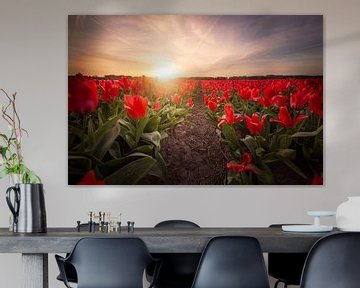 Rode tulpen bij zonsondergang van Chris Snoek