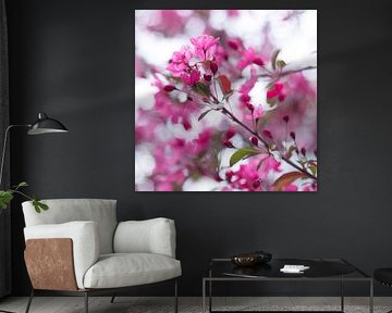 Bloesem in roze 3 by Wen van  Gampelaere
