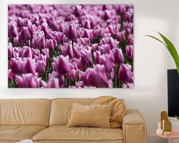 Bloeiende tulpen by Bert van Wijk