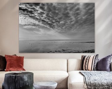 Wadden Sea Terschelling by Waterpieper Fotografie