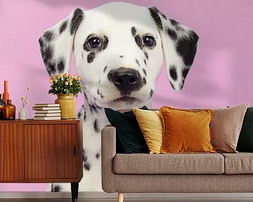 Dalmatian portrait against a pink background by Elles Rijsdijk