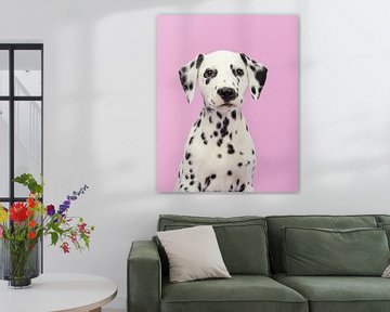 Porträt eines Dalmatiners vor einem rosa Hintergrund von Elles Rijsdijk
