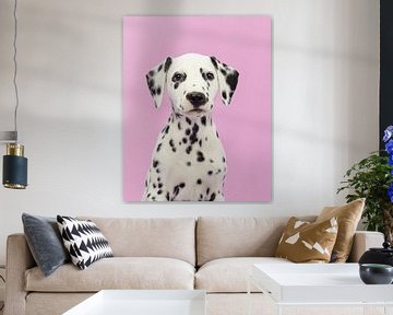 Dalmatian portrait against a pink background by Elles Rijsdijk