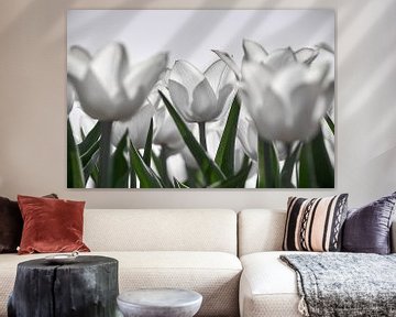 Witte tulpen in tegenlicht van Ad Jekel