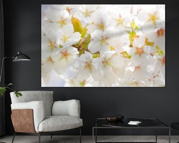 Kersen bloesem / cherry blossom van Elles Rijsdijk