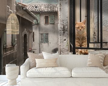 Balcony cat / Red cat sitting on a balcony seen through the bars in an old stre by Elles Rijsdijk