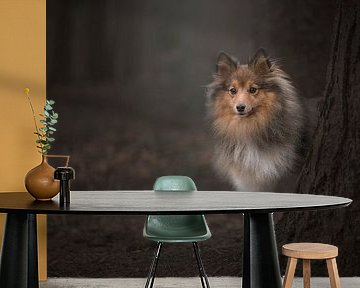 In the woods / Shetland sheepdog behind a tree in a dark fairytale forest by Elles Rijsdijk
