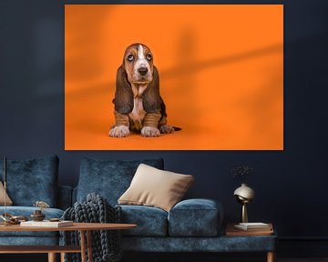 Basset pup in het oranje / Adorable basset hound puppy dog sitting on an orange background van Elles Rijsdijk