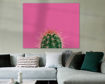 Cactus / Green prickly cactus on a pink background by Elles Rijsdijk