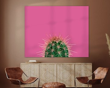Cactus / Green prickly cactus on a pink background by Elles Rijsdijk