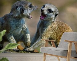 Voorbeeld van het werk in een kamer