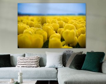 gelbe Tulpen, schönes Tulpenfeld von Patrick Verhoef